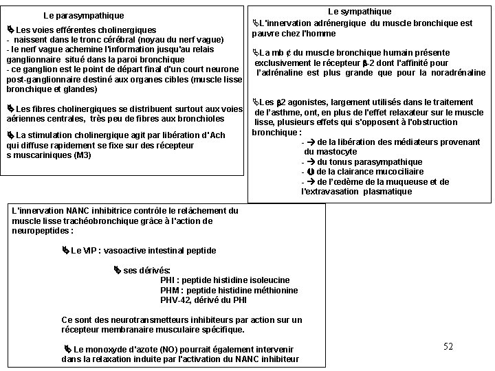 Le parasympathique Les voies efférentes cholinergiques - naissent dans le tronc cérébral (noyau du