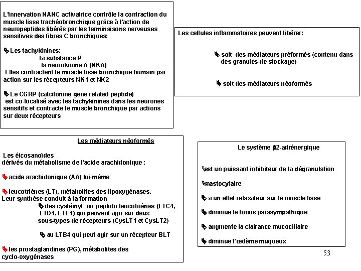 L'innervation NANC activatrice contrôle la contraction du muscle lisse trachéobronchique grâce à l'action de