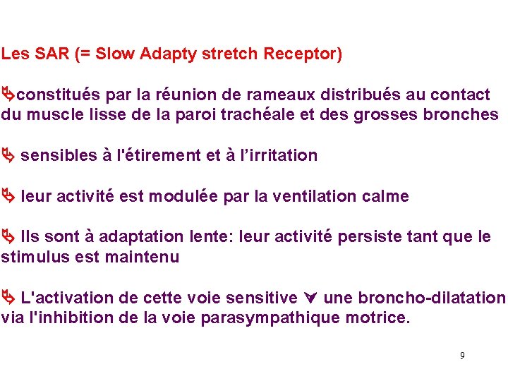 Les SAR (= Slow Adapty stretch Receptor) constitués par la réunion de rameaux distribués