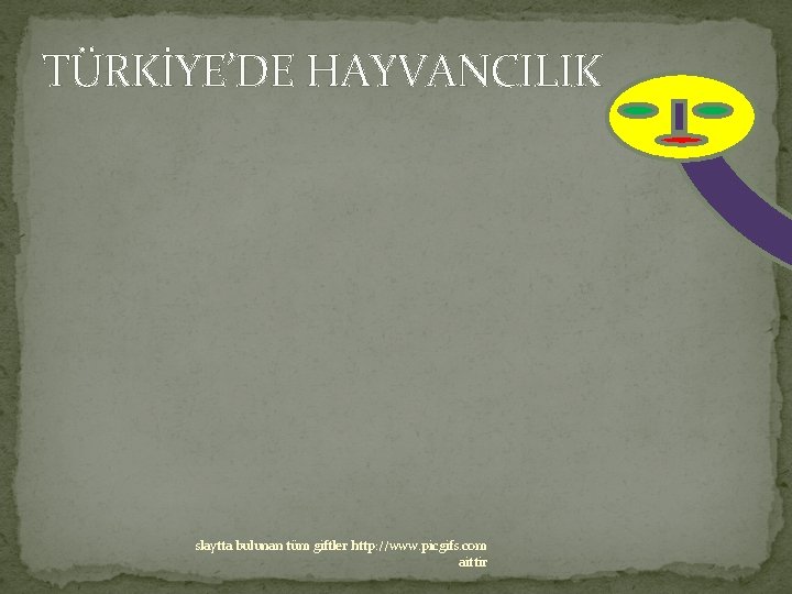 TÜRKİYE’DE HAYVANCILIK slaytta bulunan tüm giftler http: //www. picgifs. com aittir 