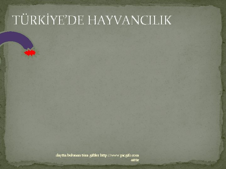 TÜRKİYE’DE HAYVANCILIK slaytta bulunan tüm giftler http: //www. picgifs. com aittir 