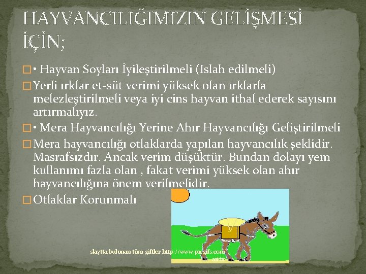 HAYVANCILIĞIMIZIN GELİŞMESİ İÇİN; � • Hayvan Soyları İyileştirilmeli (Islah edilmeli) � Yerli ırklar et-süt