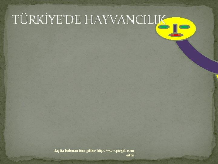 TÜRKİYE’DE HAYVANCILIK slaytta bulunan tüm giftler http: //www. picgifs. com aittir 