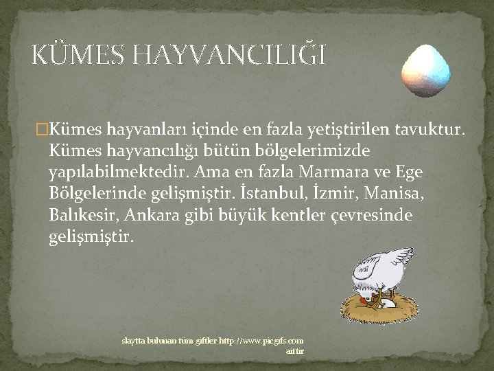 KÜMES HAYVANCILIĞI �Kümes hayvanları içinde en fazla yetiştirilen tavuktur. Kümes hayvancılığı bütün bölgelerimizde yapılabilmektedir.