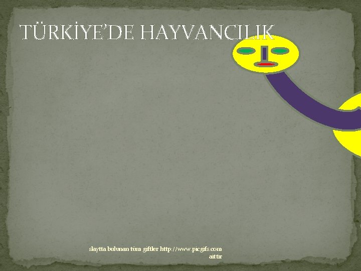 TÜRKİYE’DE HAYVANCILIK slaytta bulunan tüm giftler http: //www. picgifs. com aittir 