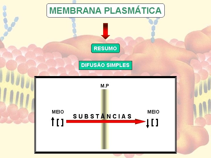 MEMBRANA PLASMÁTICA RESUMO DIFUSÃO SIMPLES M. P MEIO [] SUBST NCIAS MEIO [] 