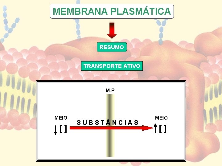 MEMBRANA PLASMÁTICA RESUMO TRANSPORTE ATIVO M. P MEIO [] SUBST NCIAS MEIO [] 