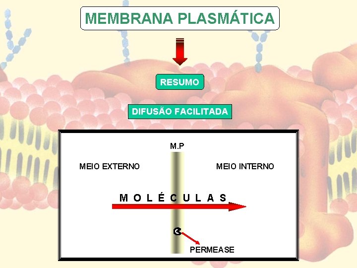 MEMBRANA PLASMÁTICA RESUMO DIFUSÃO FACILITADA M. P MEIO EXTERNO MEIO INTERNO M O L