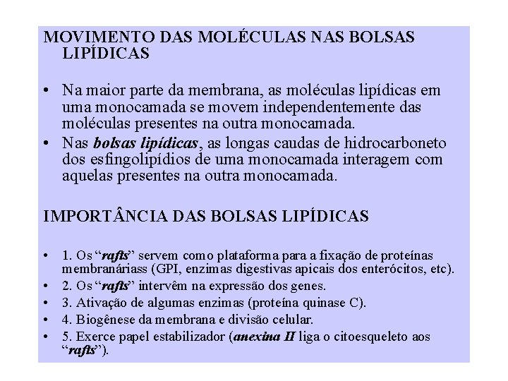 MOVIMENTO DAS MOLÉCULAS NAS BOLSAS LIPÍDICAS • Na maior parte da membrana, as moléculas