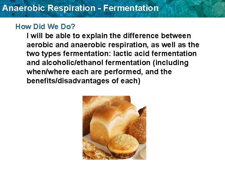 Anaerobic Respiration - Fermentation How Did We Do? I will be able to explain