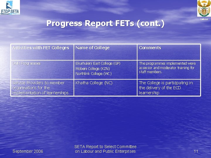 Progress Report FETs (cont. ) Labour Activities with FET Colleges Name of College Comments