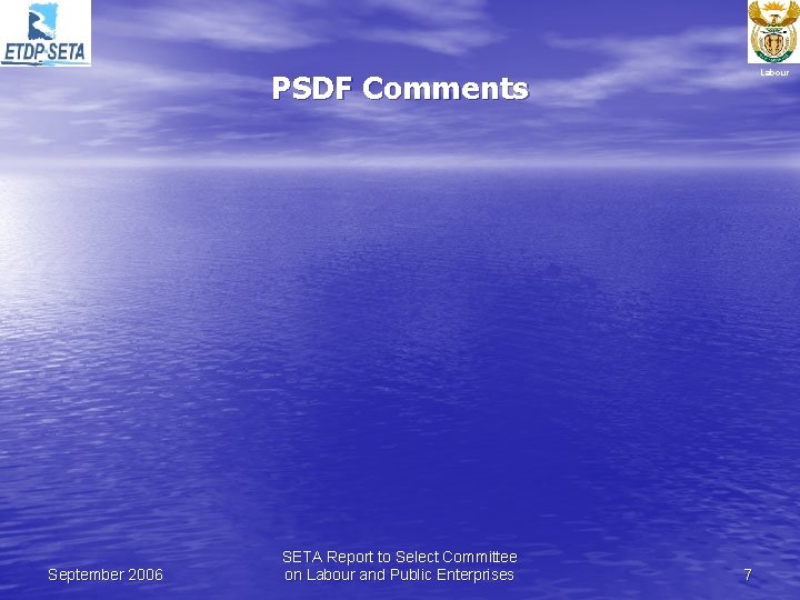 PSDF Comments September 2006 SETA Report to Select Committee on Labour and Public Enterprises