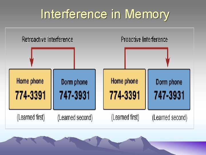 Interference in Memory 