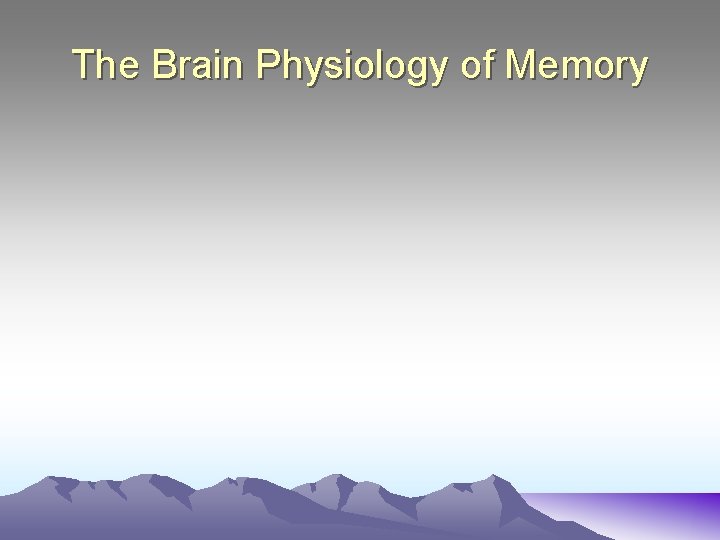 The Brain Physiology of Memory 