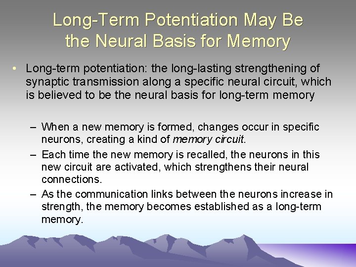 Long-Term Potentiation May Be the Neural Basis for Memory • Long-term potentiation: the long-lasting