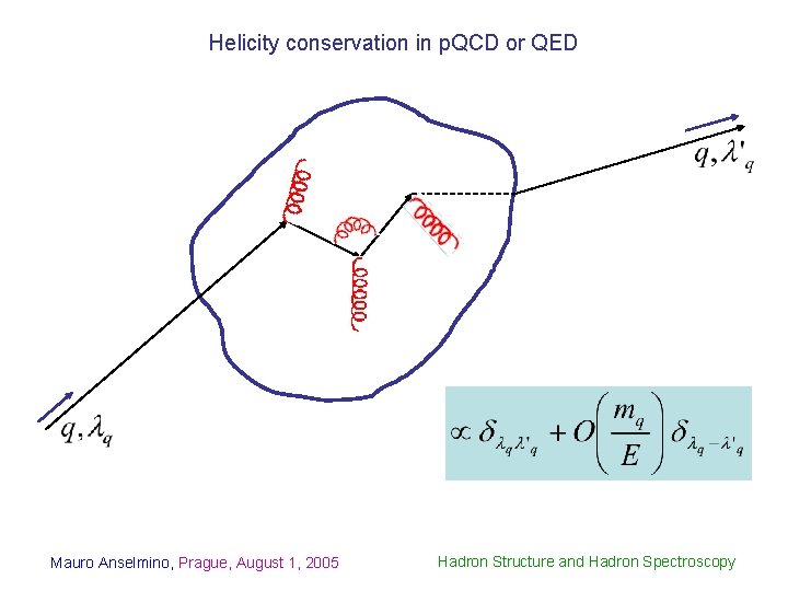 Helicity conservation in p. QCD or QED Mauro Anselmino, Prague, August 1, 2005 Hadron