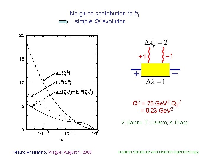 No gluon contribution to h 1 simple Q 2 evolution +1 + – 1