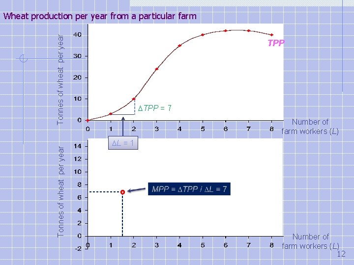 Tonnes of wheat per year Wheat production per year from a particular farm TPP