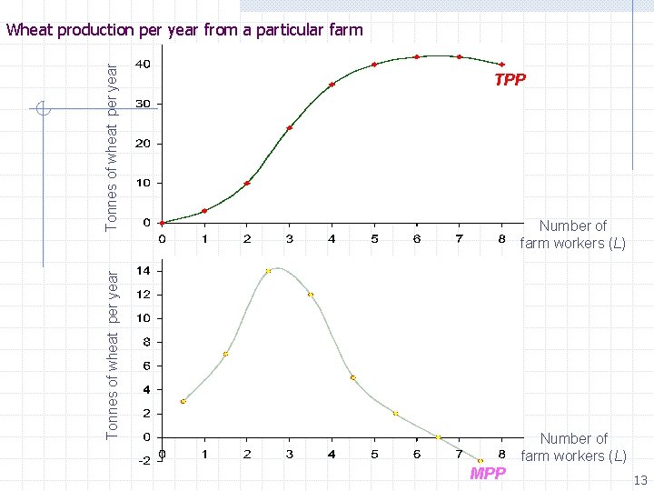 TPP Number of farm workers (L) Tonnes of wheat per year Wheat production per