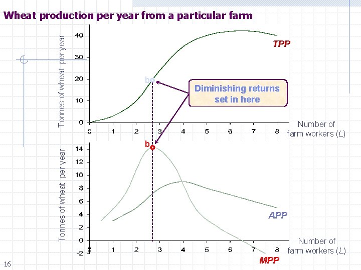 Tonnes of wheat per year Wheat production per year from a particular farm 16