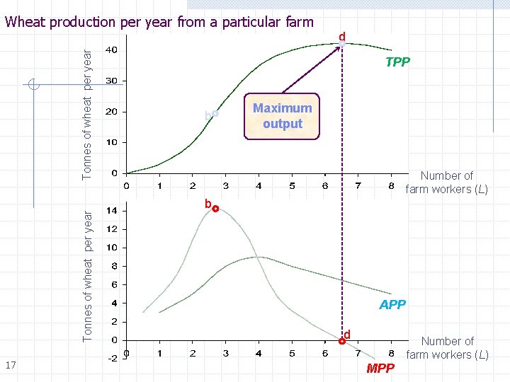 Tonnes of wheat per year Wheat production per year from a particular farm 17