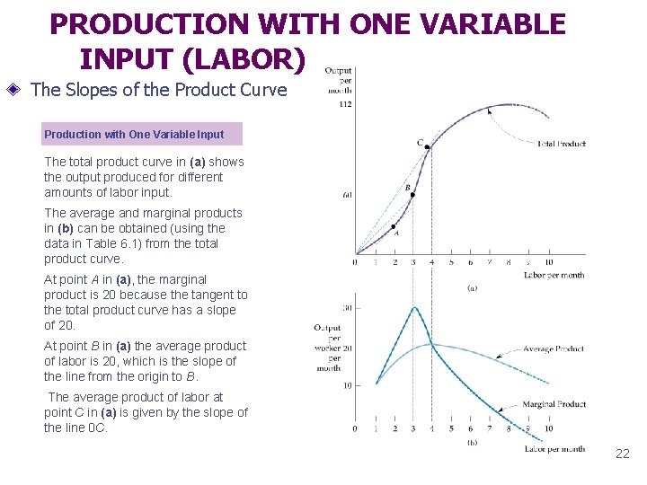 PRODUCTION WITH ONE VARIABLE INPUT (LABOR) The Slopes of the Product Curve Production with