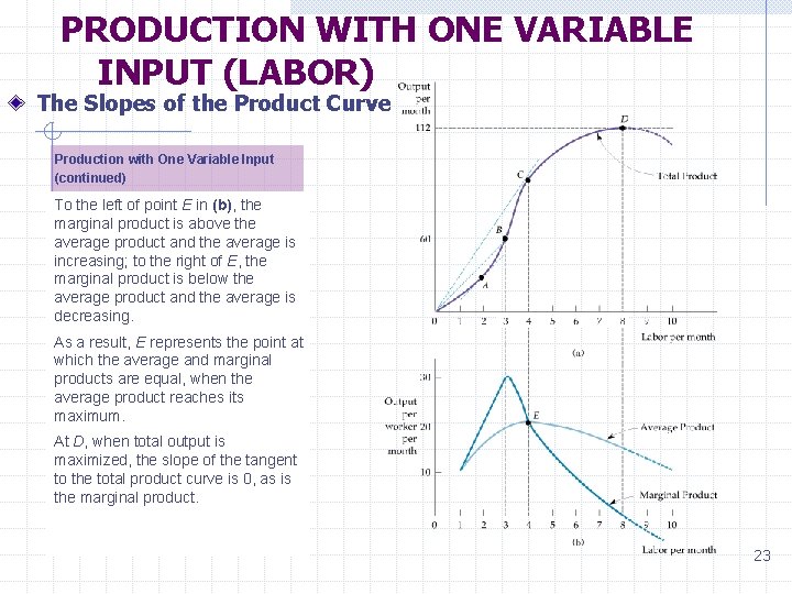 PRODUCTION WITH ONE VARIABLE INPUT (LABOR) The Slopes of the Product Curve Production with