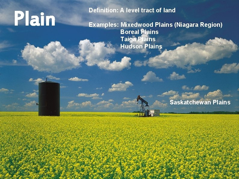 Plain Definition: A level tract of land Examples: Mixedwood Plains (Niagara Region) Boreal Plains
