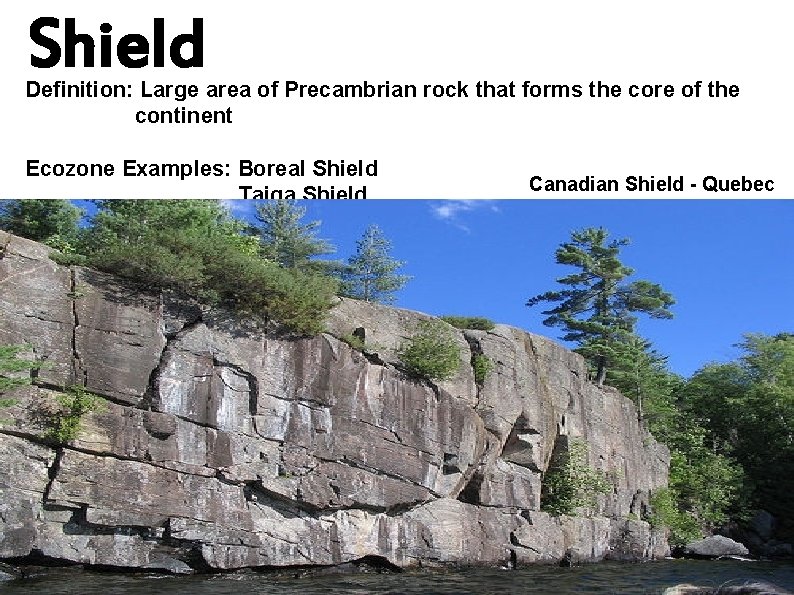 Shield Definition: Large area of Precambrian rock that forms the core of the continent