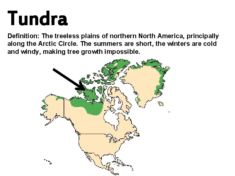 Tundra Definition: The treeless plains of northern North America, principally along the Arctic Circle.