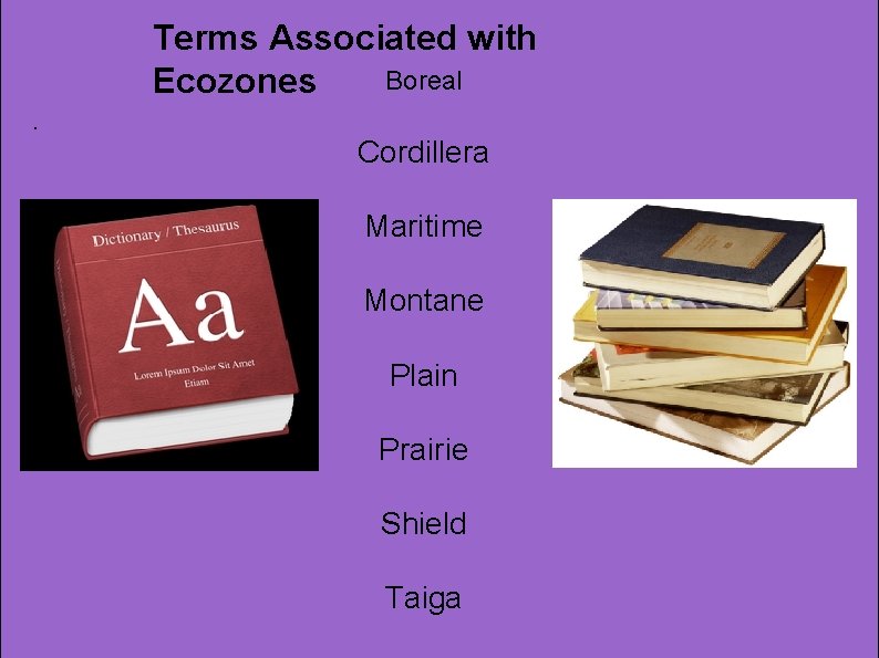 Terms Associated with Boreal Ecozones. Cordillera Maritime Montane Plain Prairie Shield Taiga 