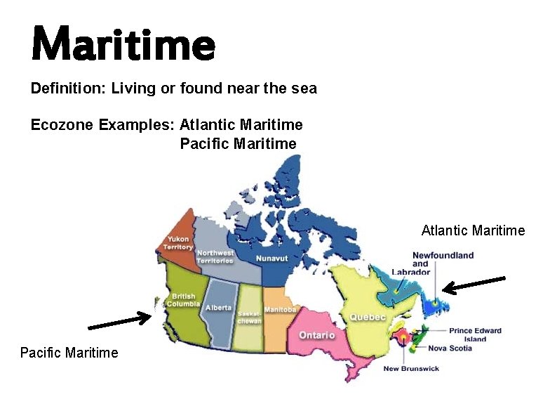 Maritime Definition: Living or found near the sea Ecozone Examples: Atlantic Maritime Pacific Maritime