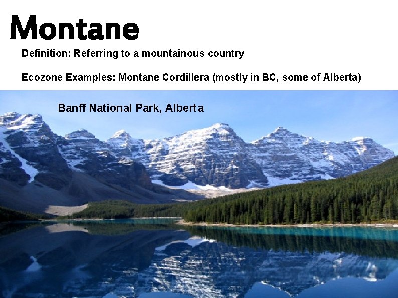 Montane Definition: Referring to a mountainous country Ecozone Examples: Montane Cordillera (mostly in BC,