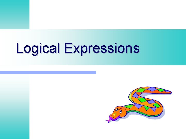 Logical Expressions Logical Expressions