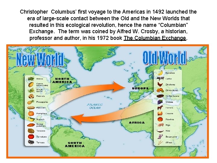 Christopher Columbus’ first voyage to the Americas in 1492 launched the era of large-scale