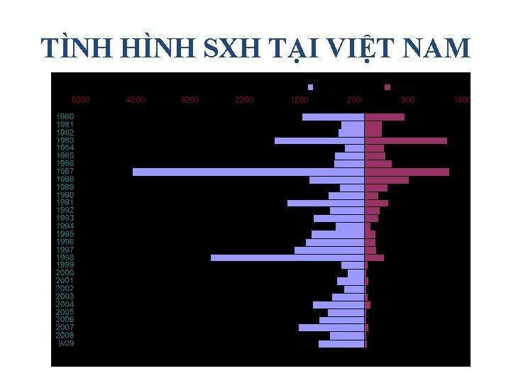 TÌNH HÌNH SXH TẠI VIỆT NAM 