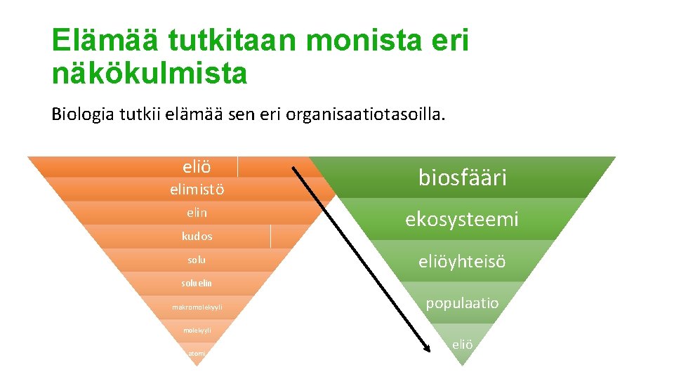 Elämää tutkitaan monista eri näkökulmista Biologia tutkii elämää sen eri organisaatiotasoilla. eliö biosfääri elin