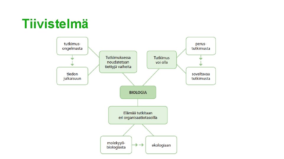 Tiivistelmä 