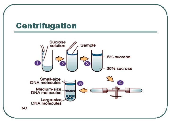 Centrifugation 