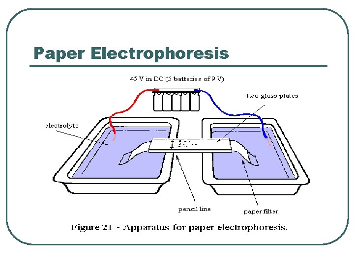 Paper Electrophoresis 