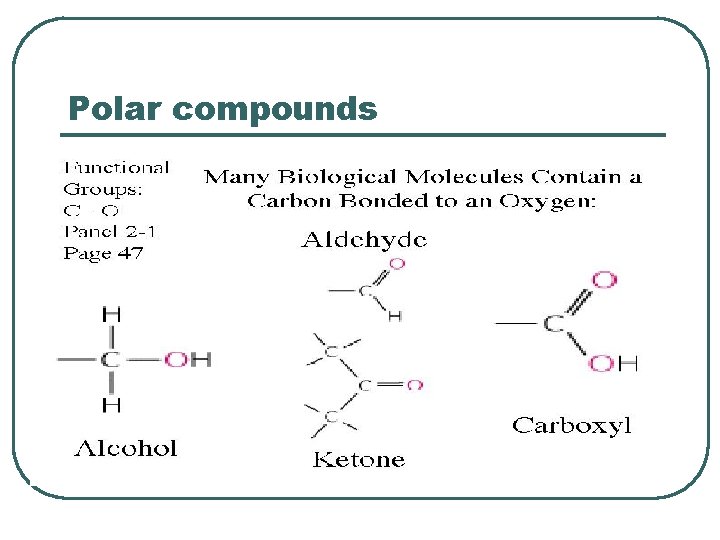 Polar compounds 