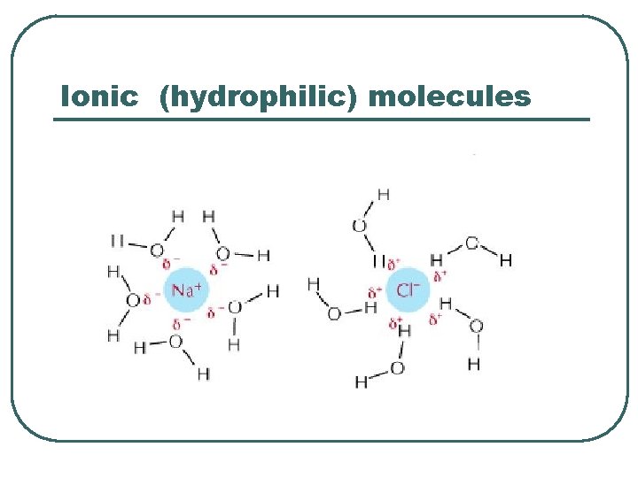 Ionic (hydrophilic) molecules 