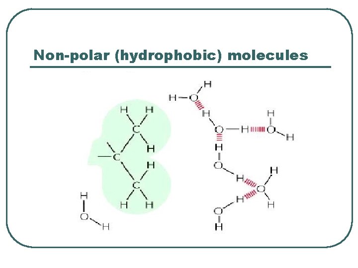 Non-polar (hydrophobic) molecules 