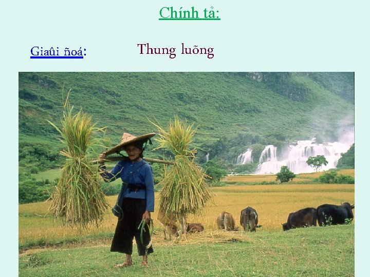 Chính tả: Giaûi ñoá: Thung luõng 