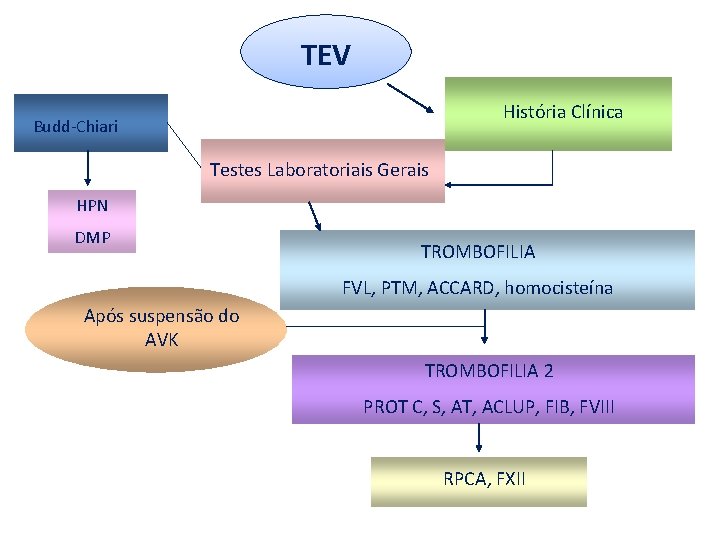 TEV História Clínica Budd-Chiari Testes Laboratoriais Gerais HPN DMP TROMBOFILIA FVL, PTM, ACCARD, homocisteína