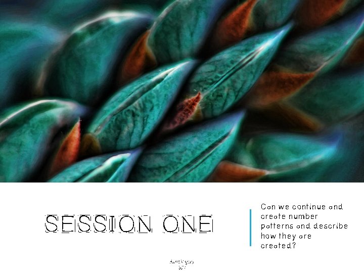 SESSION ONE Alice Vigors 2017 Can we continue and create number patterns and describe