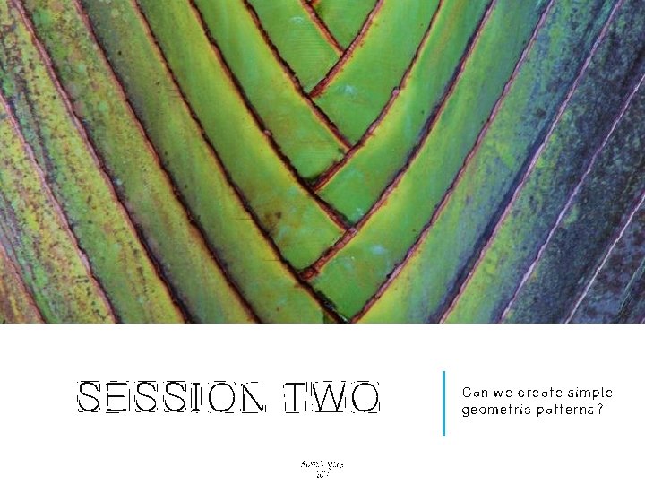 SESSION TWO Alice Vigors 2017 Can we create simple geometric patterns? 