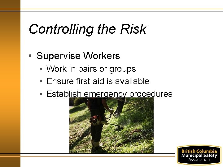 Controlling the Risk • Supervise Workers • Work in pairs or groups • Ensure