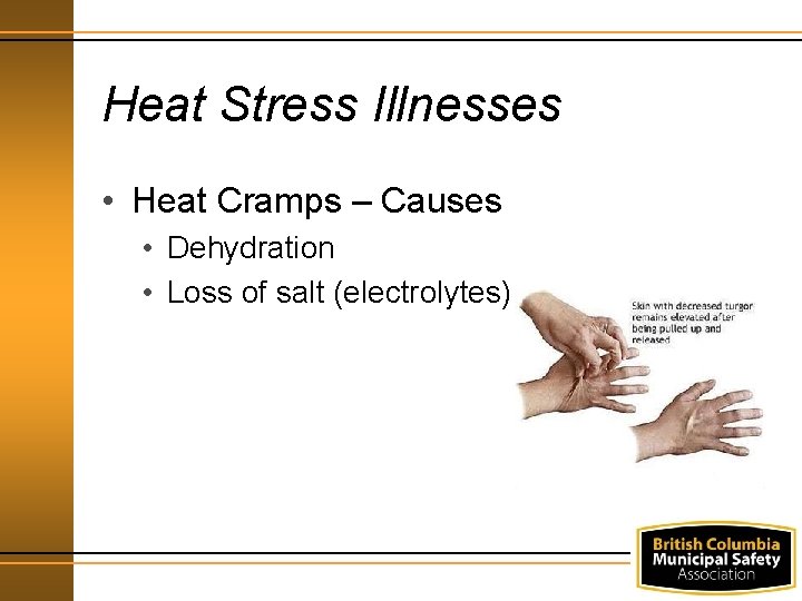 Heat Stress Illnesses • Heat Cramps – Causes • Dehydration • Loss of salt