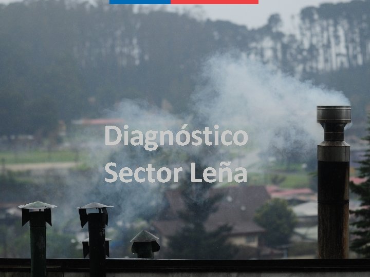 Diagnóstico Sector Leña 